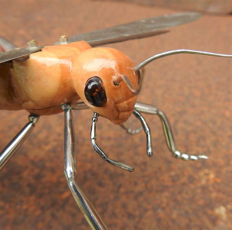 Grasshopper